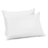 Live Comfortably 240 Thread Count 100% Peachy Certified Asthma & Allergy Friendly® Pillow - 2 Pack